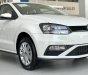 Volkswagen Polo   2021 - Volkswagen Polo Hatchback, màu đỏ, nhập khẩu nguyên chiếc tặng quà hấp dẫn kèm hỗ trợ trả góp 0%