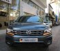 Volkswagen Tiguan Luxury S 2019 - Cần bán xe Volkswagen Tiguan Luxury S 2019, màu xám, nhập khẩu