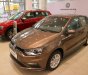 Volkswagen Polo 2020 - Volkswagen Polo Hatchback 2020 màu nâu giảm ngay 100% phí trước bạ- giao ngay