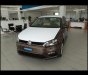Volkswagen Polo 2020 - Volkswagen Polo Hatchback 2020 màu nâu ưu đãi đặc biệt giảm giá tiền mặt - giao ngay