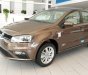 Volkswagen Polo    2020 -  Volkswagen Polo 2020, màu nâu, nhập khẩu nguyên chiếc giá cạnh tranh