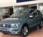 Volkswagen Tiguan 2019 - Volkswagen Tiguan Luxury S phiên bản offroad, mẫu SUV bán chạy nhất thế giới