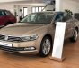 Volkswagen Passat 2018 - Bán ô tô Volkswagen Passat đời 2018, màu vàng, nhập khẩu nguyên chiếc