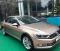 Volkswagen Passat 2018 - Bán ô tô Volkswagen Passat đời 2018, màu vàng, nhập khẩu nguyên chiếc