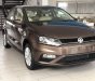 Volkswagen Polo   2020 - Polo Hatchback màu nâu cực độc
