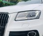 Audi Q5 2013 - Cần bán Audi Q5, Audi Q5 2.0 TFSI model 2013, đăng ký lăn bánh 2013