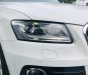 Audi Q5 2013 - Cần bán Audi Q5, Audi Q5 2.0 TFSI model 2013, đăng ký lăn bánh 2013