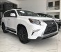 Lexus GX460 Luxury 2021 - Bán xe Lexus GX460 Luxury đời 2021, màu trắng, xe nhập