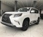 Lexus GX460 Luxury 2021 - Bán xe Lexus GX460 Luxury đời 2021, màu trắng, xe nhập