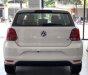 Volkswagen Polo 2020 - Bán Volkswagen Polo năm 2020, nhập khẩu nguyên chiếc, giá ưu đãi