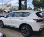 Hyundai Santa Fe 2020 - Bán xe Hyundai SantaFe - đẳng cấp - kiêu hãnh