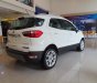 Ford EcoSport 2020 - Bán xe Ford EcoSport 2020, màu trắng