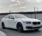 BMW 5 Series 520i 2015 - Thanh lý Bmw 520i 2015 biển Hà Nội cực đẹp và chất