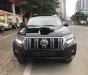 Toyota Prado 2019 - Toyota Prado VX sản xuất 2019 đẹp như xe mới