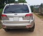 Ford Escape 2010 - Gia đình cần bán Ford Escape 2010, số tự động, màu xám