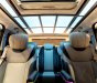 Ford Tourneo 2019 2019 - Bán Ford Tourneo Limousine phiên bản giới hạn