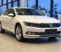 Volkswagen Passat 2018 - Volkswagen Passat Bluemotion High nhập khẩu nguyên chiếc, tặng 100% lệ phí trước bạ trong tháng 2