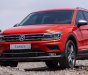 Volkswagen Tiguan 2019 - Volkswagen Tiguan Alspace Luxury nhập khẩu nguyên chiếc, giảm 120tr phí trước bạ trong tháng chạp