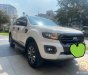 Ford Ranger 2019 - Vua bán tải Ford Ranger Wildtrak Biturbo 2019