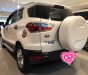 Ford EcoSport   2016 - Ecosport Titinium 2016 đẹp xuất sắc