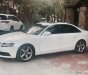 Audi A4 2010 - Audi A4 bản 2.0 2010 full kịch option