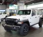Jeep Wrangler Willys 2021 - Giá Jeep Wrangler Willys 2021, khuyến mãi mới nhất