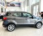 Ford EcoSport 2021 - Ford Ecosport 2021 - Mẫu xe mới nhất cùng hàng ngàn ưu đãi hấp dẫn