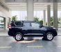 Toyota Prado   TXL  2017 - Bán Toyota Prado TXL đời 2017, màu đen, nhập khẩu nguyên chiếc