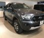 Ford Ranger 2019 - Bán Ford Ranger đời 2019, màu xám, xe nhập