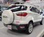 Ford EcoSport   Titanium 1.5L AT 2019 - Cần bán xe Ford EcoSport Titanium 1.5L AT năm 2019, màu trắng chính chủ, 579tr