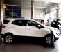 Ford EcoSport 2021 - Cần bán Ford EcoSport đời 2021, màu trắng