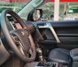 Toyota Prado   VX 2.7L  2019 - Cần bán lại xe Toyota Prado VX 2.7L đời 2019, màu đen, nhập khẩu