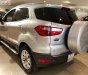 Ford EcoSport 2015 - Cần bán xe Ford EcoSport năm 2015, màu bạc  