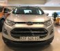 Ford EcoSport 2015 - Bán Ford EcoSport năm sản xuất 2015, màu bạc  