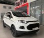 Ford EcoSport 2016 - Bán Ford EcoSport năm 2016, màu trắng giá cạnh tranh