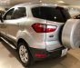 Ford EcoSport 2015 - Bán Ford EcoSport năm sản xuất 2015, màu bạc  