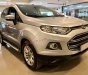 Ford EcoSport 2015 - Cần bán xe Ford EcoSport năm 2015, màu bạc  