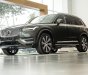 Volvo XC90 2021 - Volvo Hà Nội Volvo XC90 T8 2021, SUV an toàn nhất thế giới, ưu đãi quà tặng hấp dẫn