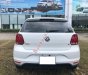 Volkswagen Polo   1.6 AT 2020 - Cần bán Volkswagen Polo 1.6 AT năm 2020, màu trắng, nhập khẩu chính chủ, giá tốt