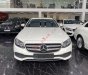 Mercedes-Benz E250 2016 - Bán Mercedes E250 đời 2016, màu trắng