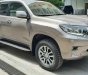 Toyota Prado   VX 2.7L 2021 - Bán xe Toyota Prado VX 2.7L năm sản xuất 2021, nhập khẩu Nhật Bản