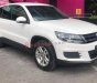 Volkswagen Tiguan 2013 - Bán Volkswagen Tiguan đời 2013, nhập khẩu nguyên chiếc còn mới giá cạnh tranh