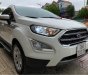 Ford EcoSport   1.5 AT Titanium 2020 - Cần bán Ford EcoSport 1.5 AT Titanium đời 2020, màu trắng, giá 589tr