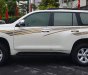 Toyota Prado   TXL 2010 - Cần bán xe Toyota Prado TXL sản xuất năm 2010, màu trắng 