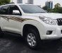 Toyota Prado   TXL 2010 - Cần bán xe Toyota Prado TXL sản xuất năm 2010, màu trắng 