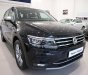 Volkswagen Tiguan 2021 - Volkswagen Tiquan Luxury S 2021- hỗ trợ phí trước bạ