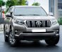 Toyota Prado   VX 2.7L 2020 - Bán Toyota Prado VX 2.7L 2020, nhập khẩu chính chủ