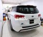 Kia Sedona     2016 - Bán ô tô Kia Sedona năm 2016, màu trắng, xe nhập còn mới