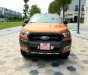 Ford Ranger   Wildtrak 3.2L 4x4 AT  2017 - Bán ô tô Ford Ranger Wildtrak 3.2L 4x4 AT 2017, nhập khẩu nguyên chiếc