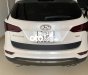 Hyundai Santa Fe 2016 - Bán Hyundai Santa Fe đời 2016, màu trắng, nhập khẩu, giá 710tr